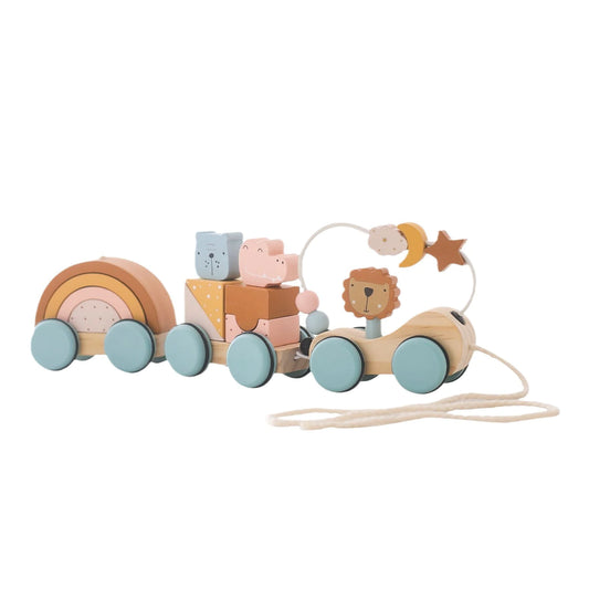 Wooden Montessori Puzzle Toy